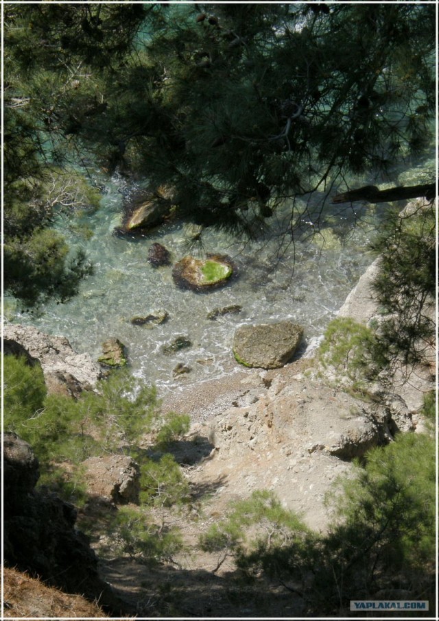 Крым. Мыс Ая. Деревья моря.