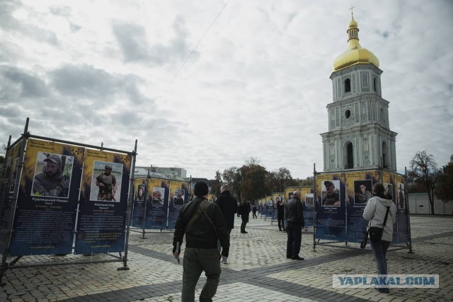 Пандемия съехавших крыш - разновидности болезни. Россия и мир. Часть 44.