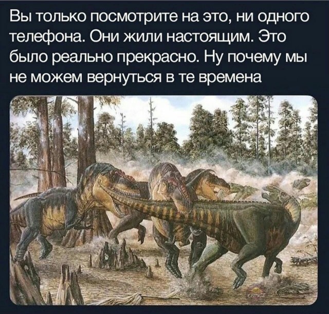 Так себе картинки 02.11.22