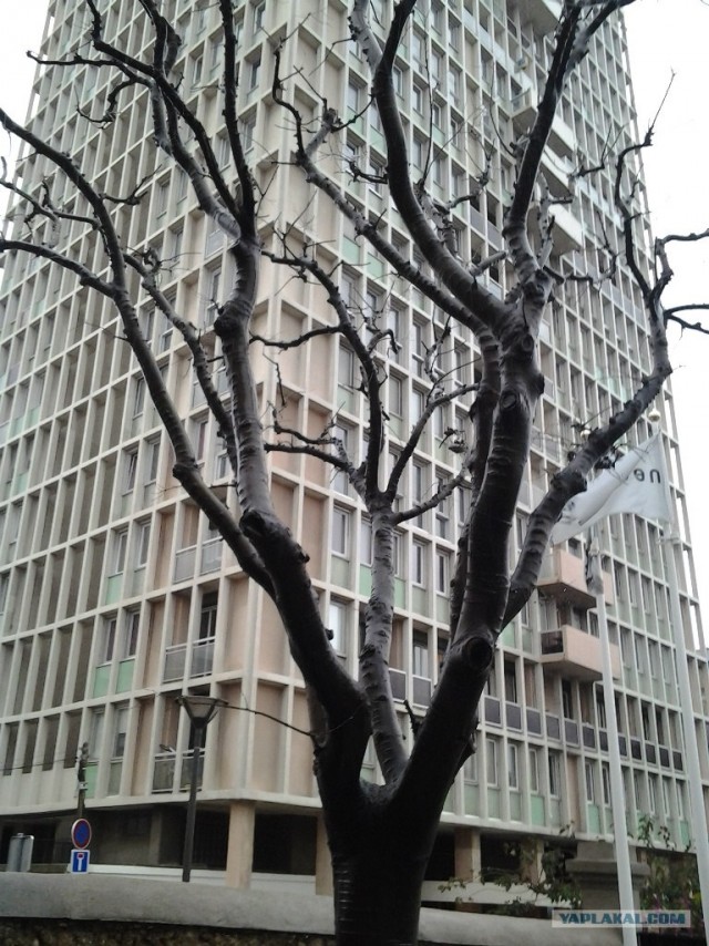 В поисках такси