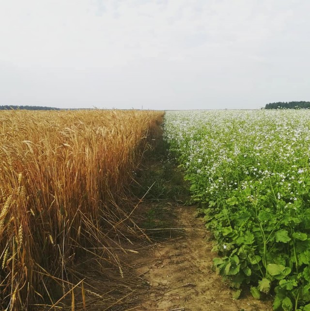 Фото с телефона