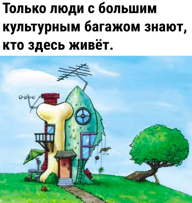Так себе картинки 12.12.21