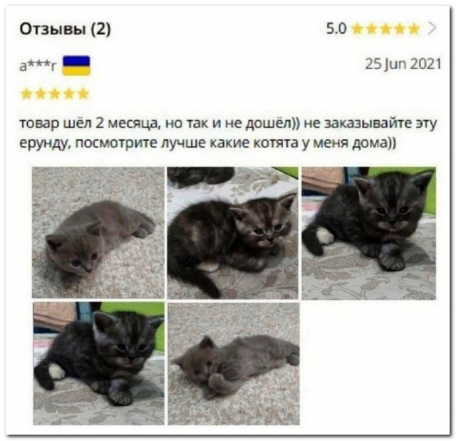 Забавные комментарии из социальных сетей (20.02.23)