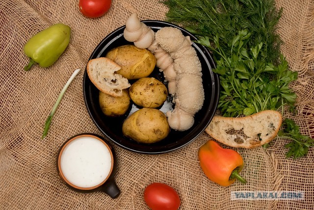 Самые странные блюда из семейной кухни