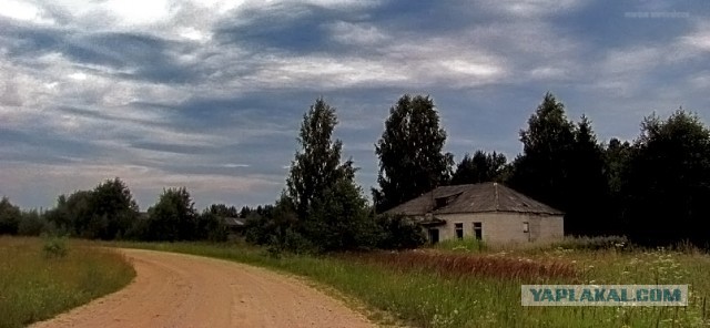Добро пожаловать в глушь