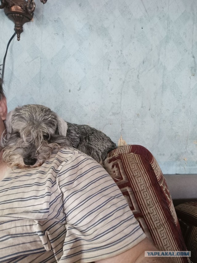 Они только часть нашей жизни, а мы для них - вся жизнь!