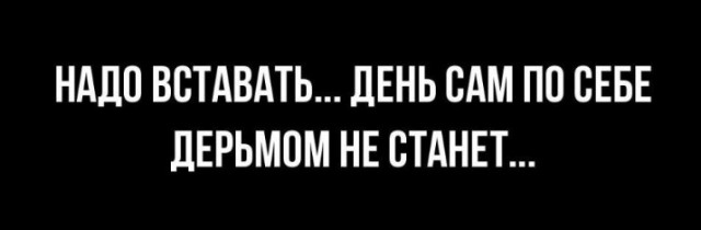 Всего понемногу. От 31.07.23