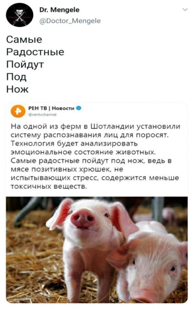 Четырнадцатая подборка самых баянистых баянов! Ностальгируем...