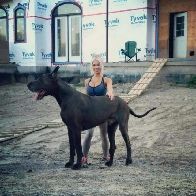 Просто фотки с животными №2