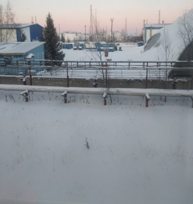 Ухажеры поколения Y