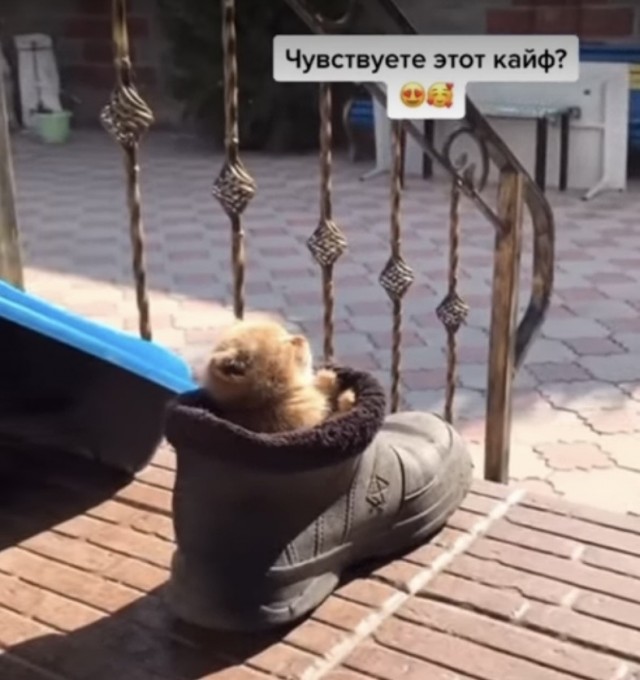ТРРРРРидцать тРРРРРи от 22 маРРРРта!