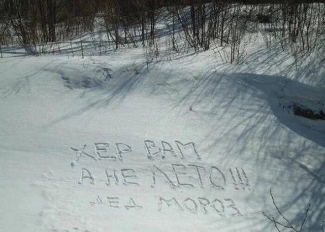 Отряд быстрой деградации