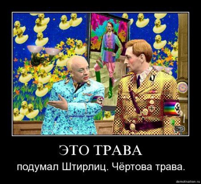 Прикольные и просто красивые картинки 07.05.2024