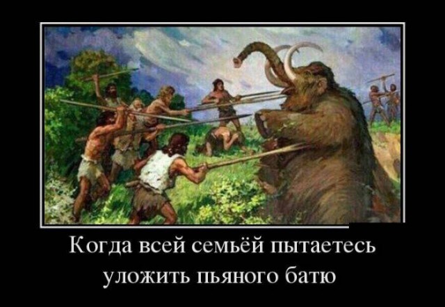 Так себе картинки 28.05.24