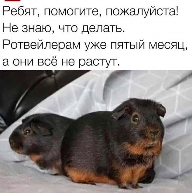 Плюс верный друг, минус бочок