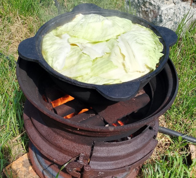 Массовое ожирение