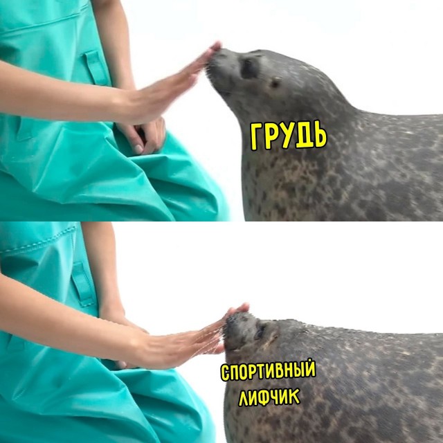 Всего понемногу. От 27.09.24