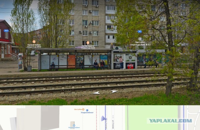 В Краснодаре обокрали бездомного кота