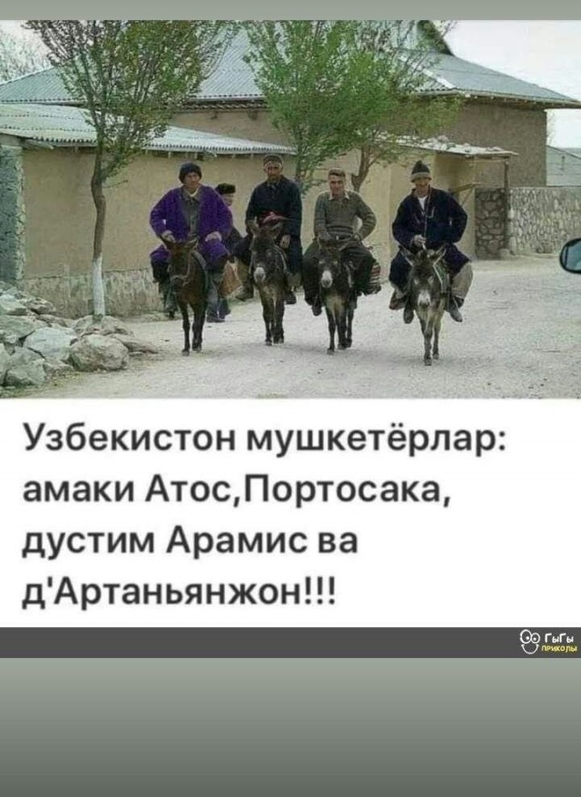 Весёлый полтишок 22.11.24