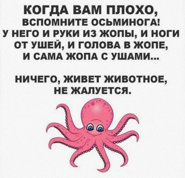 Нуштош 25.12.2024