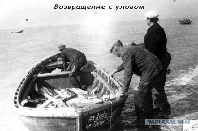 Интересные и редкие ретро-фотографии 20.01.25