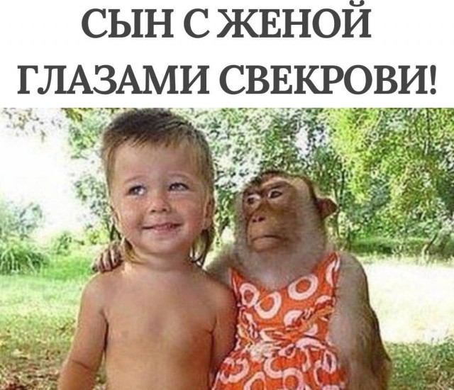 Завалялось тут случайно немного забавных картинок