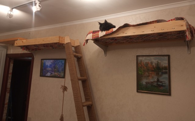 Милота в гамаке