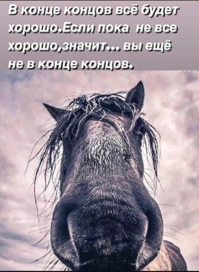 Так себе картинки 07.07.25