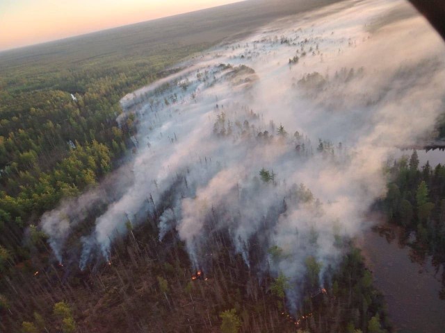 Огнеборцы спасли птенцов от огня в лесу в Енисейском районе.