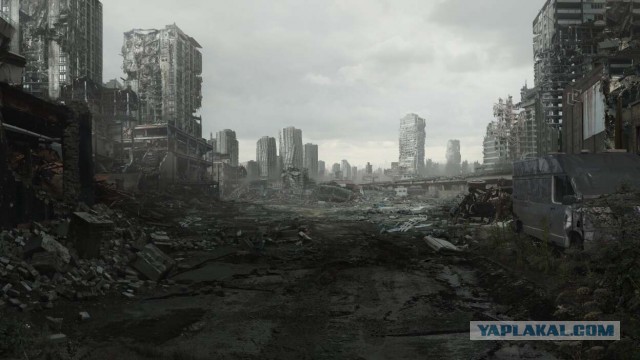 В Петербурге четвёртый день пытаются вытащить кота, застрявшего в облицовке набережной Фонтанки.
