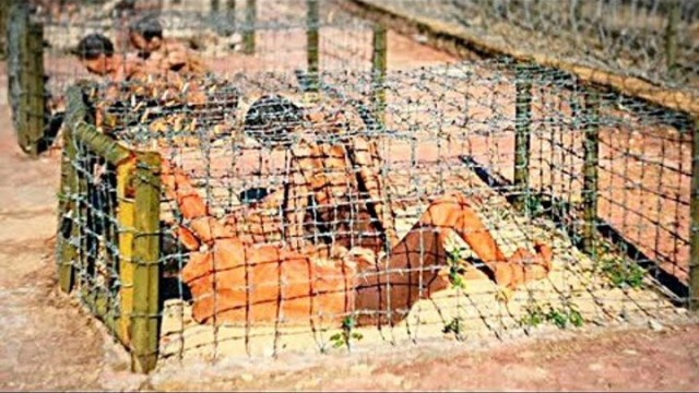 В тюрьмах Англии запретили собак-ищеек.