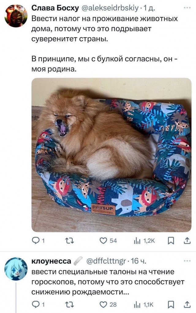 Бинго запретов в России по дате рождения