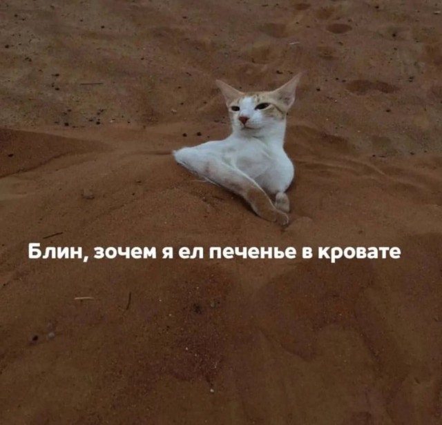 Картинки для деградации 51 (разной степени свежести)