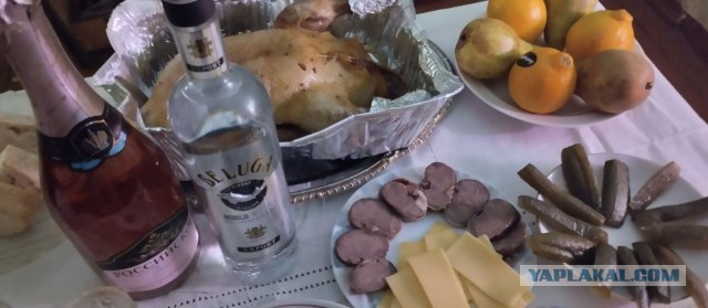 Что пьете , чем закусываете ?
