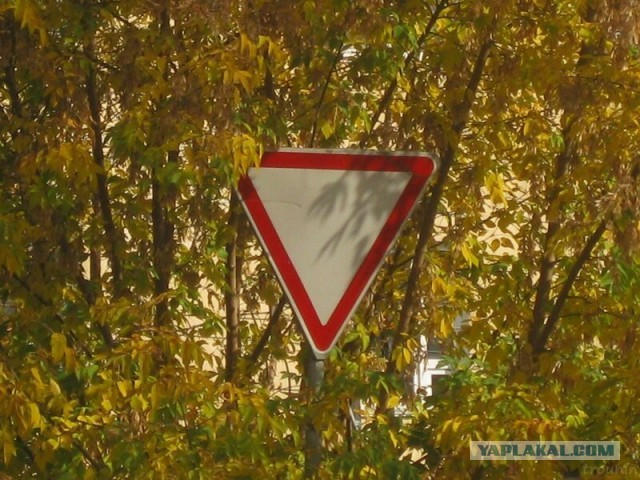 Что ты такое?!