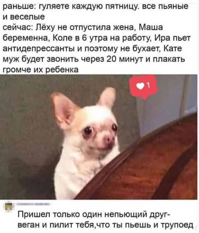 Картинки для деградации 195 (разной степени свежести)