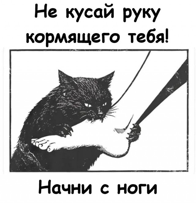 Картинки для деградации 209 (разной степени свежести)