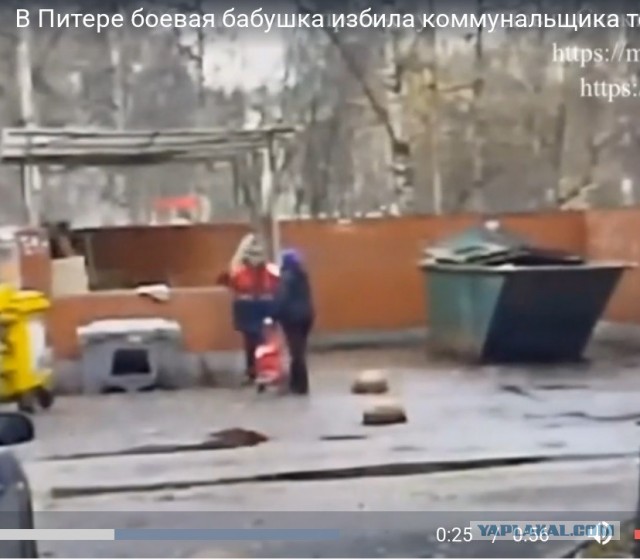 В Питере боевая бабушка избила коммунальщика тележкой у мусорных баков. Женщина была недовольна его работой