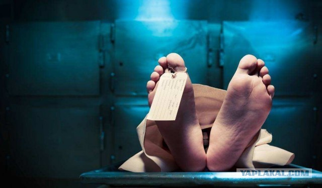 Эвтаназия: каждый 15-й голландец умирает по запросу.