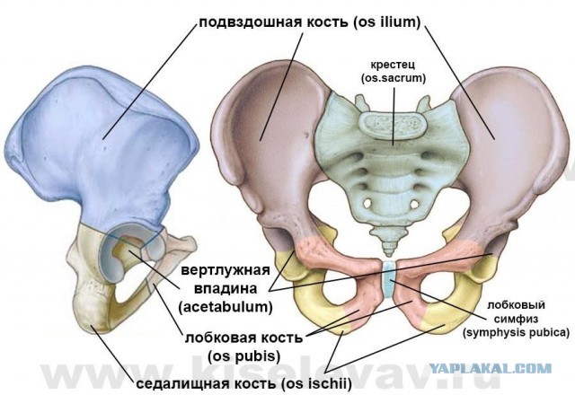 Если вдруг, пациентка обнажённая ...