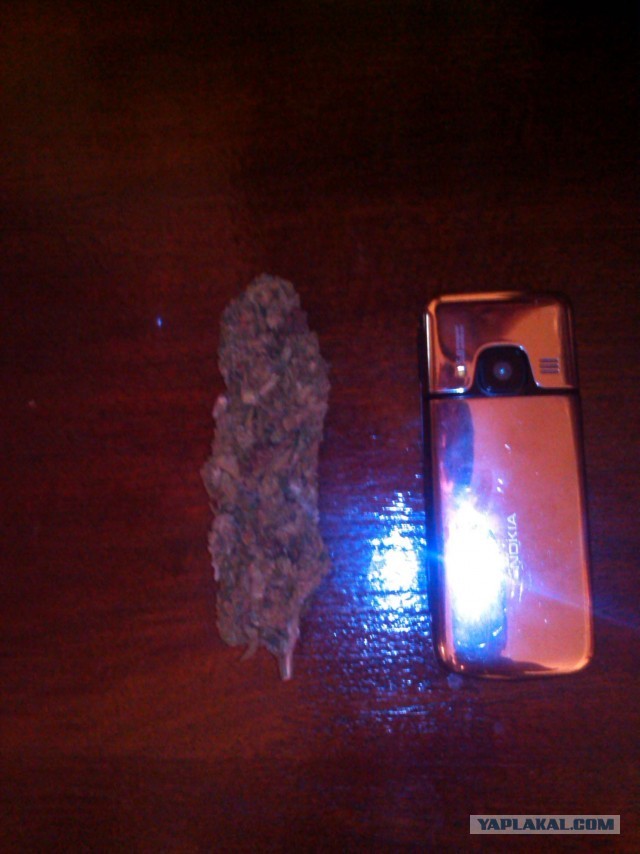 Думай, как преступник