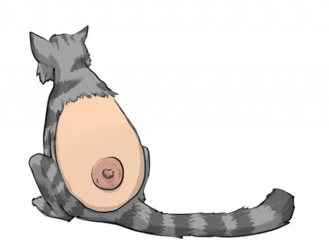 Давайте знакомиться