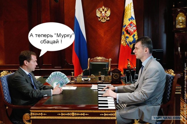 Фото дня