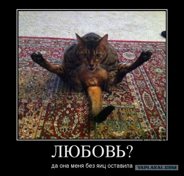 Демотиваторов пост, добавляйте свои