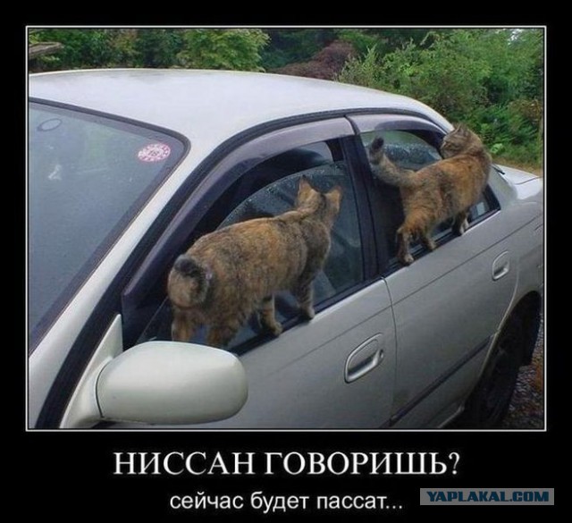 Демотиваторов пост, добавляйте свои