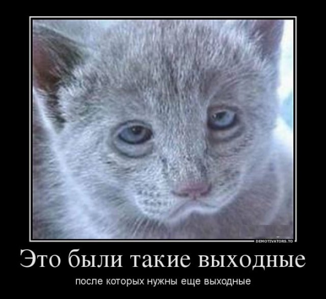 Горячие демотиваторы