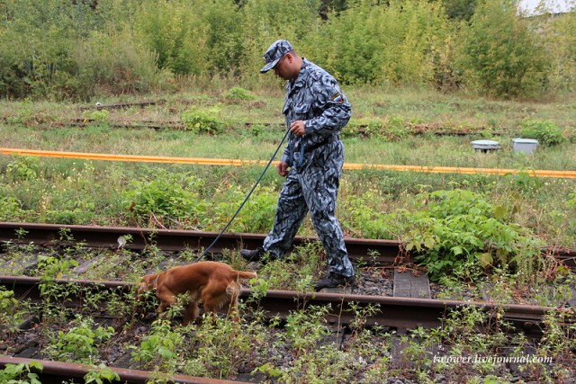 Центр кинологической службы Упр-ния на транспорте