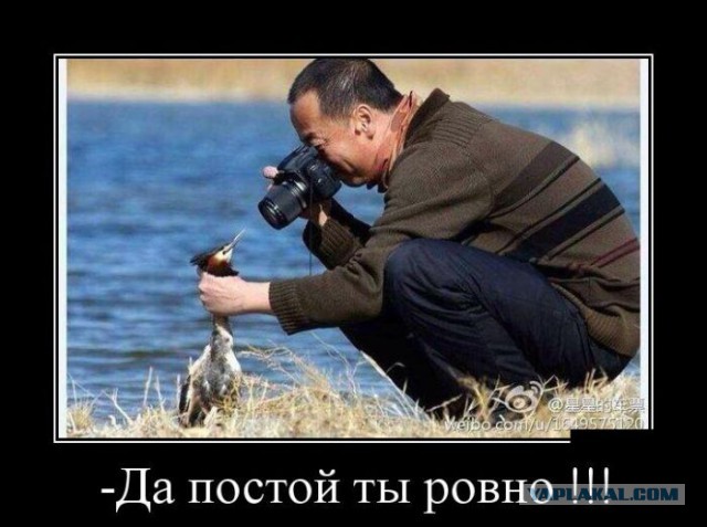 Подборка демотиваторов