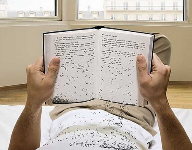 Забавные картинки из Сети