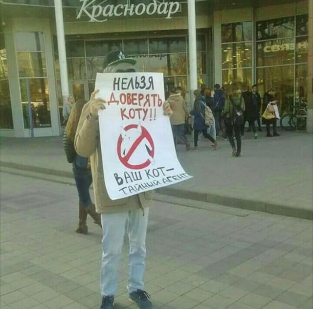 Ужасы и приколы из соцсетей 18+